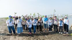 Rayakan Milad ke-18, FKG Unissula Tanam 1.800 Mangrove